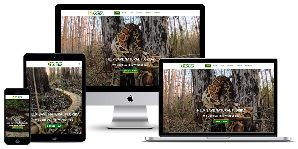 Picture showing beautiful responsive WordPress website design for Save Natural Florida by Lynchburg creative